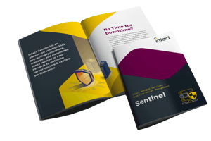 Intact Sentinel Brochure