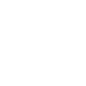 Webstraxt