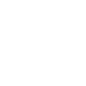 credit safe integration